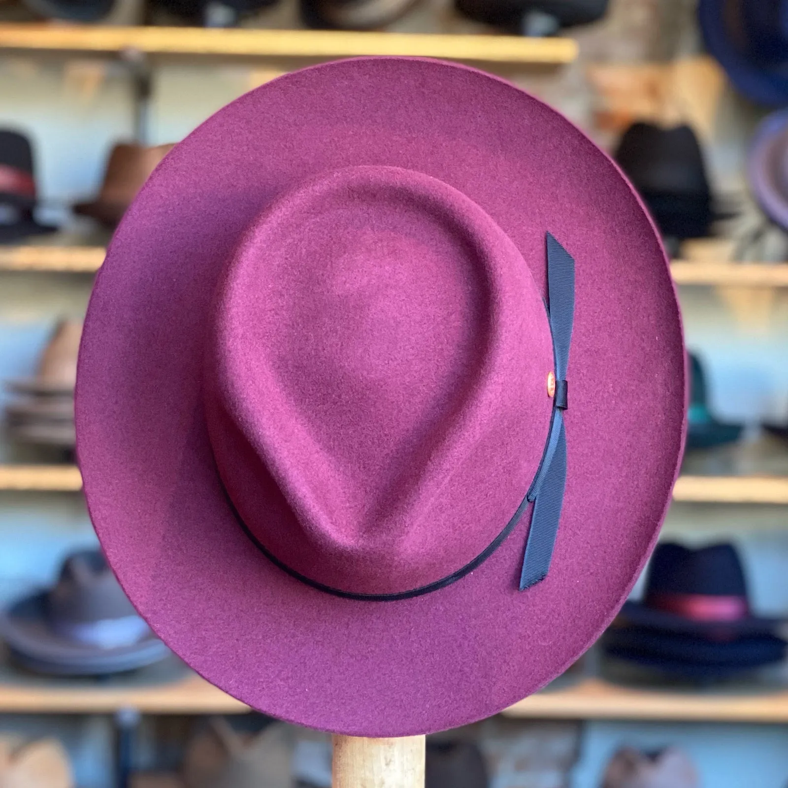 Ari Wide Brim Fedora