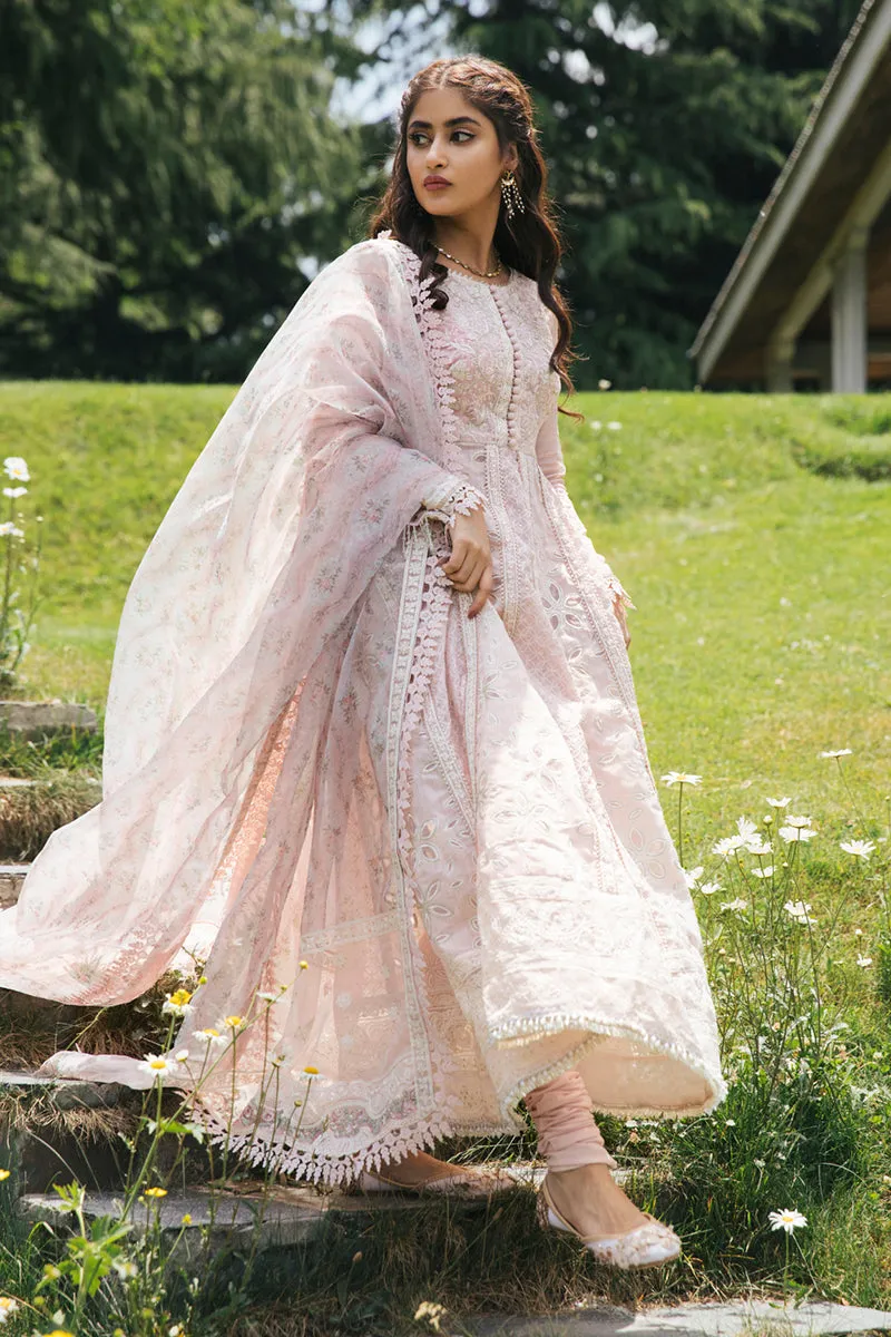 EB-08  DAISY | Qalamkar Rahi Luxury Festive Collection 2022 | Unstitched Embroidered Lawn Suits