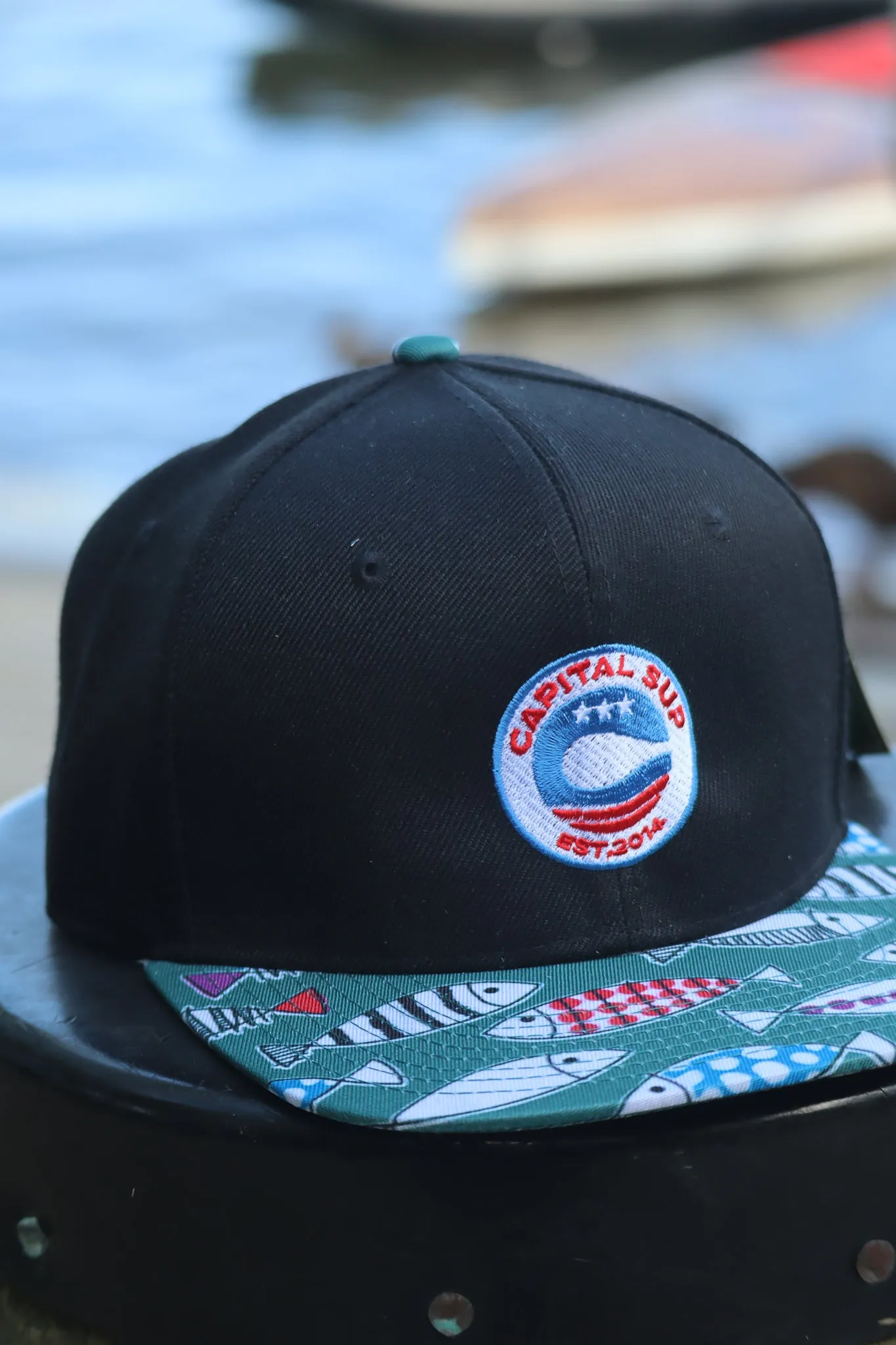 Fish Snap Back Hat