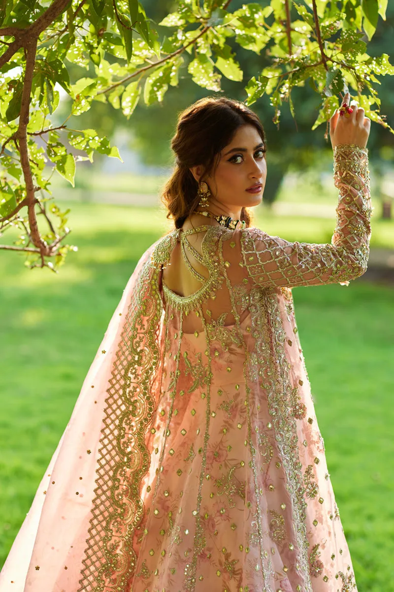 Qalamkar Shadmani Luxury Formals '24 | Saira SH-08
