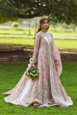 Qalamkar Shadmani Luxury Formals '24 | Saira SH-08