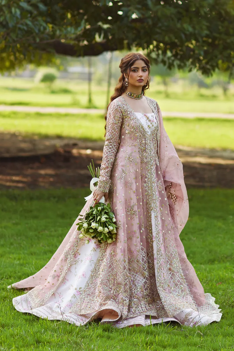 Qalamkar Shadmani Luxury Formals '24 | Saira SH-08