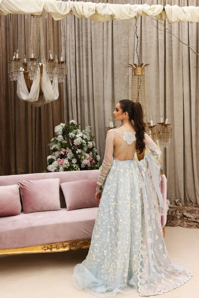 SHIZA HASSAN | FESTIVE 2022 | MEHRUNISA