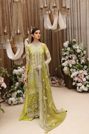 SHIZA HASSAN | FESTIVE 2022 | TABEER