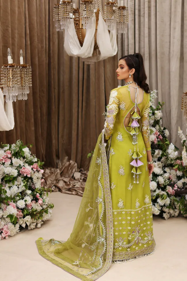 SHIZA HASSAN | FESTIVE 2022 | TABEER