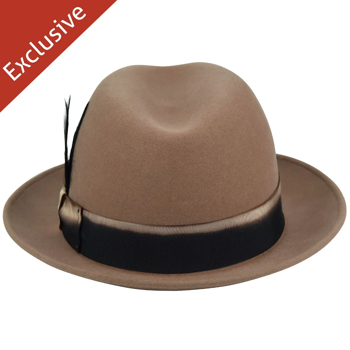 Walter R. Fedora - Exclusive
